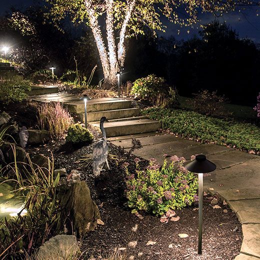 Why Choose Rodenhiser for Your Outdoor Lighting Needs?